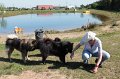 ganderkesee (5)